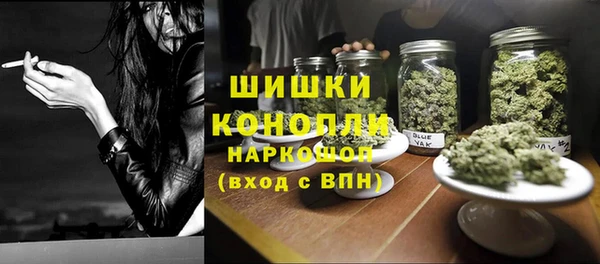 ECSTASY Богородск