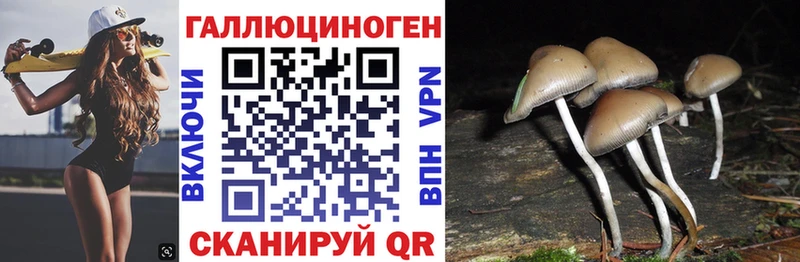 это состав  Котельнич  Псилоцибиновые грибы прущие грибы  даркнет сайт 