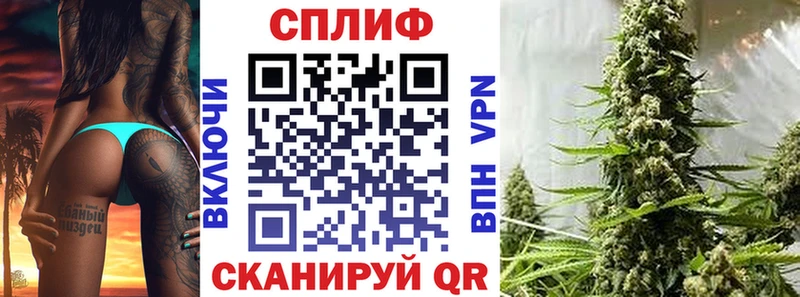 Бошки Шишки марихуана  мега как войти  Котельнич  где купить наркотик 